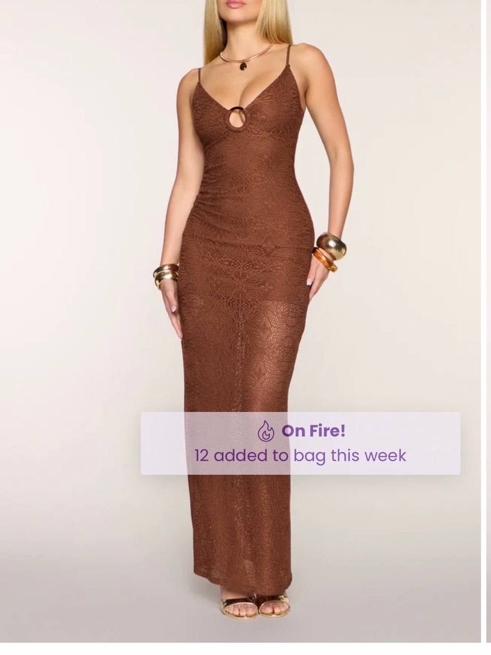 Windsor Effortless Confidence Sheer Lace Maxi Dress